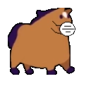 honse